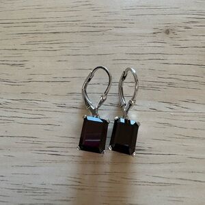 Elegant Black Drop Earrings